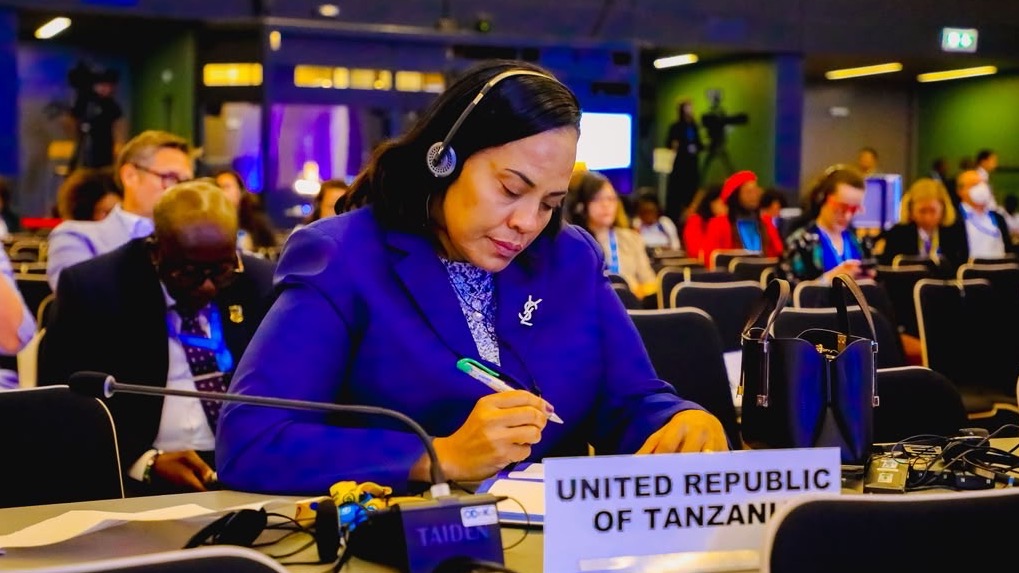 Tanzania Yaendelea Kuimarisha Ushiriki wa Kimataifa katika Usimamizi wa Akili Unde (AI)