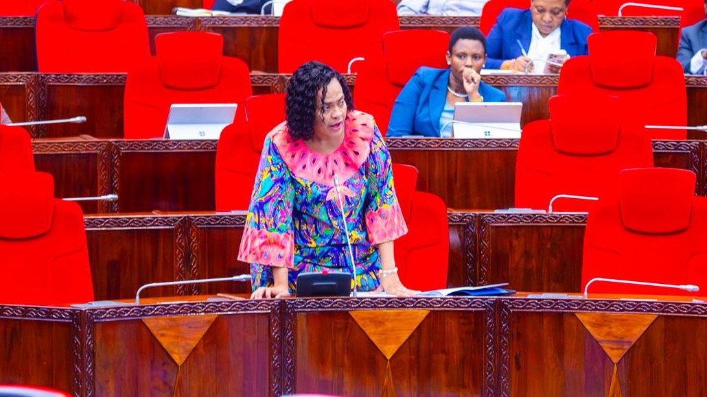 SERIKALI KUONGEZA NGUVU KUKABILIANA NA MUINGILIANO WA MAWASILIANO YA MIPAKANI