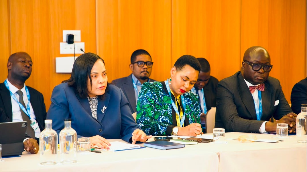 TANZANIA NA PAKISTAN ZAIMARISHA USHIRIKIANO KATIKA KUHARAKISHA MAGEUZI YA KIDIJITALI